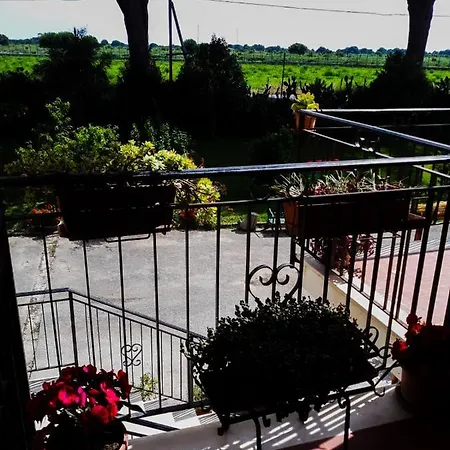 Le Palme Bed & Breakfast