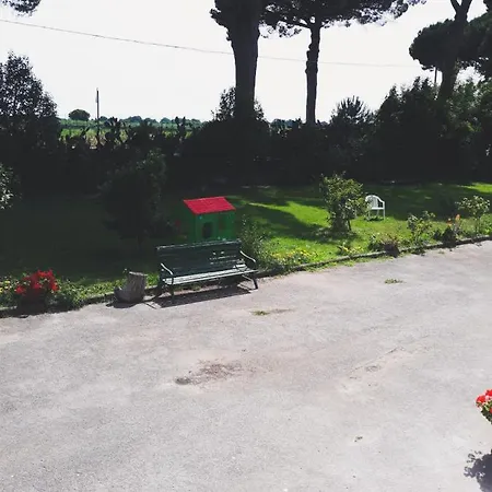 Le Palme Acciarella