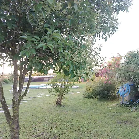 Bed & Breakfast Le Palme Acciarella